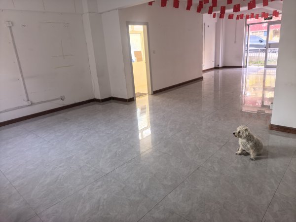 單山路（城南村）旺鋪出租