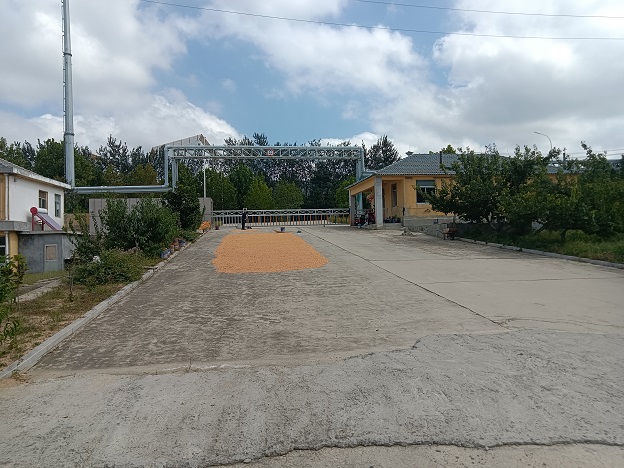 文登經(jīng)濟(jì)開發(fā)區(qū)虎山廠房場地出租 文登經(jīng)濟(jì)開發(fā)區(qū)虎山廠房場地出租