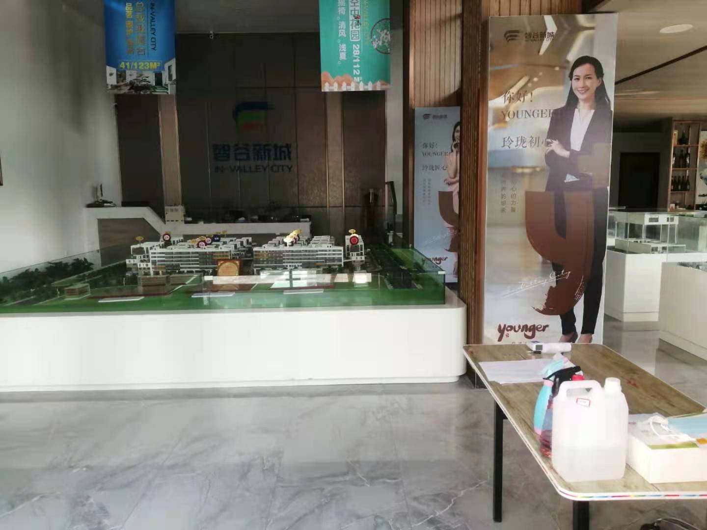 智谷新城3層別墅出售 智谷新城3層別墅出售